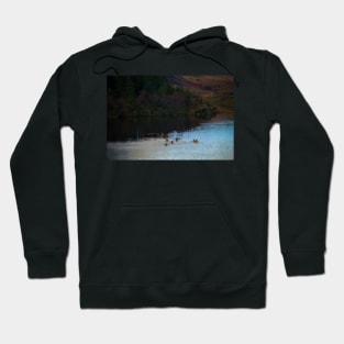 CANOISTS ON MYMBYR LAKE Hoodie